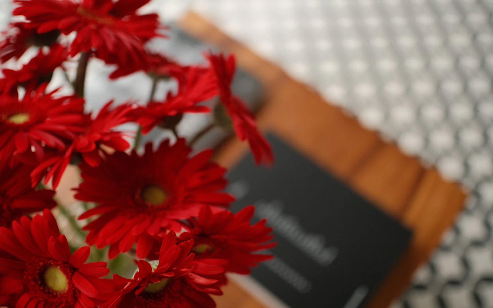 Punainen ja oranssi gerbera-kukinto lähikuvassa – tyypillisiä mykerökukkaisten heimon säde- ja keskuskukkasia.
